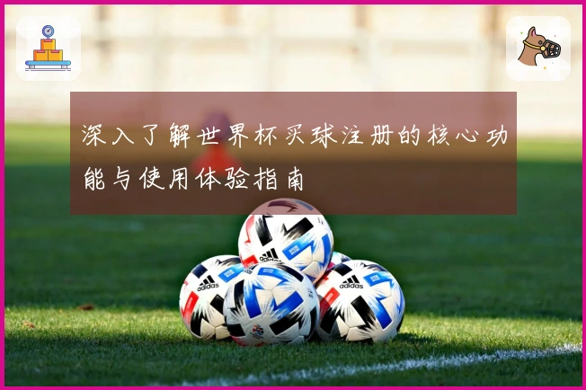 深入了解世界杯买球注册的核心功能与使用体验指南