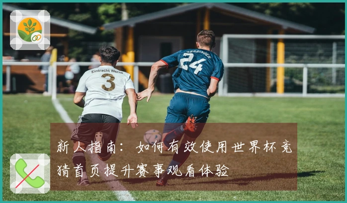 新人指南:如何有效使用世界杯竞猜首页提升赛事观看体验