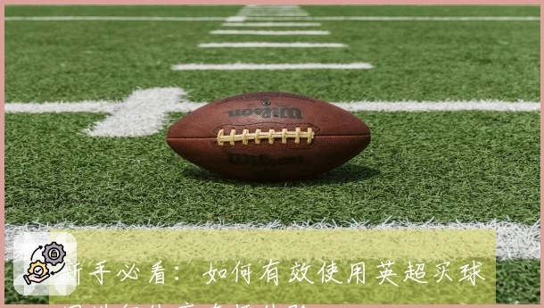 新手必看：如何有效使用英超买球网进行体育直播体验