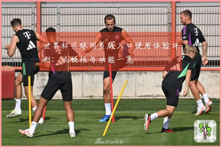 世界杯买球网页版入口使用体验评测:流畅性与功能一览