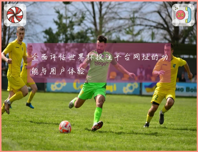 全面评估世界杯投注平台网址的功能与用户体验