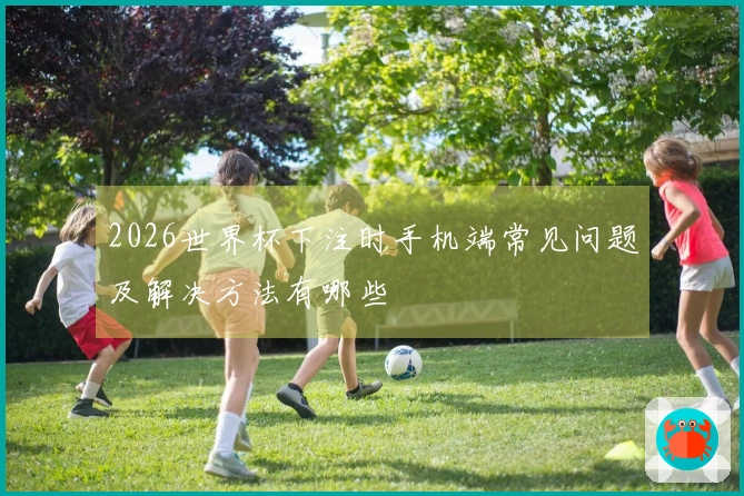 2026世界杯下注时手机端常见问题及解决方法有哪些