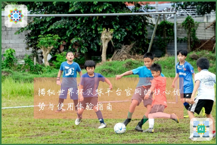 揭秘世界杯买球平台官网的核心优势与使用体验指南