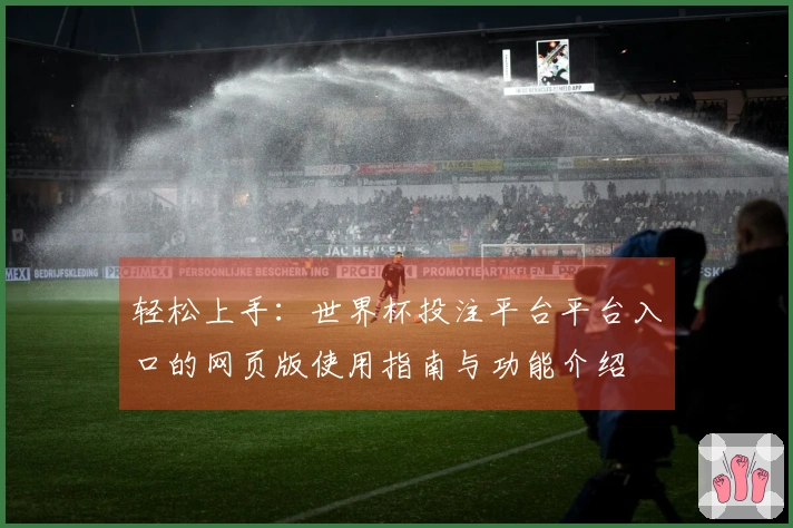 轻松上手：世界杯投注平台平台入口的网页版使用指南与功能介绍