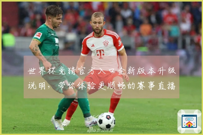 世界杯竞猜官方入口全新版本升级说明,带你体验更顺畅的赛事直播与互动功能