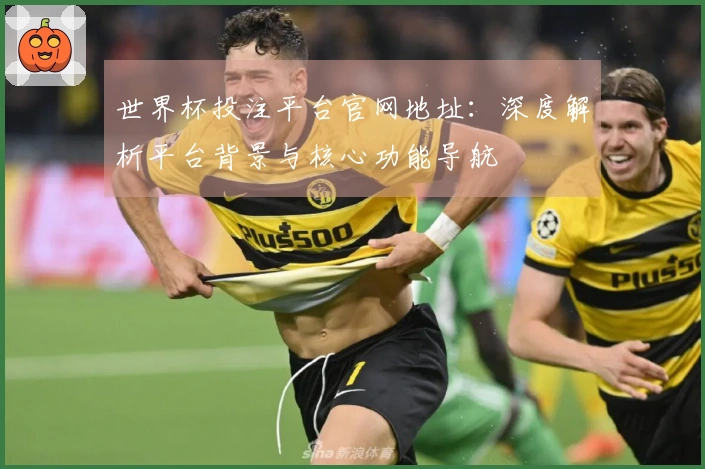 世界杯投注平台官网地址:深度解析平台背景与核心功能导航