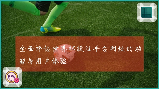 全面评估世界杯投注平台网址的功能与用户体验