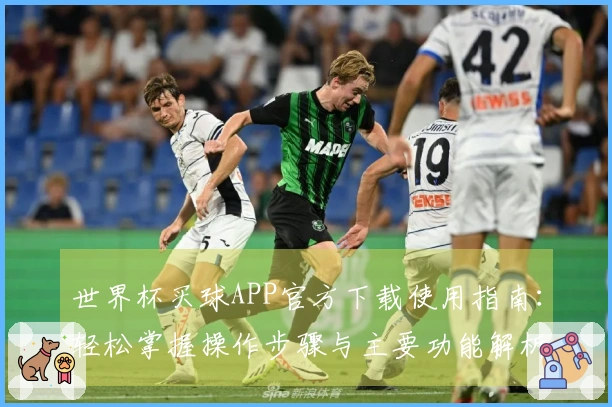世界杯买球APP官方下载使用指南：轻松掌握操作步骤与主要功能解析