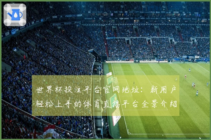 世界杯投注平台官网地址：新用户轻松上手的体育直播平台全景介绍
